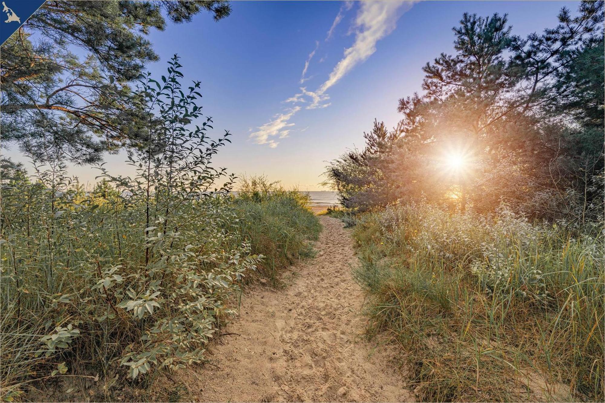 Ferienanlage Seeblick Ostseeperle Koserow Dış mekan fotoğraf